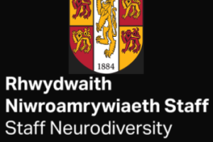 Bangor University Neurodiversity Network Logo 